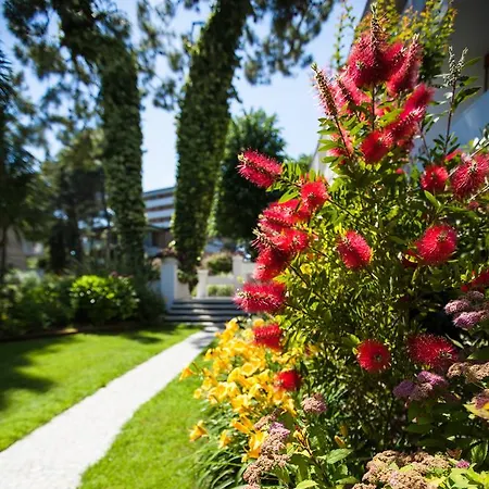 Mar Del Plata Hotel 4*