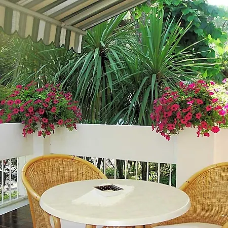 Hotel Mar Del Plata 4*