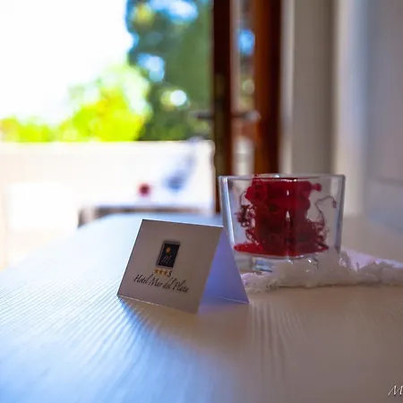 Hotel Mar Del Plata 4*