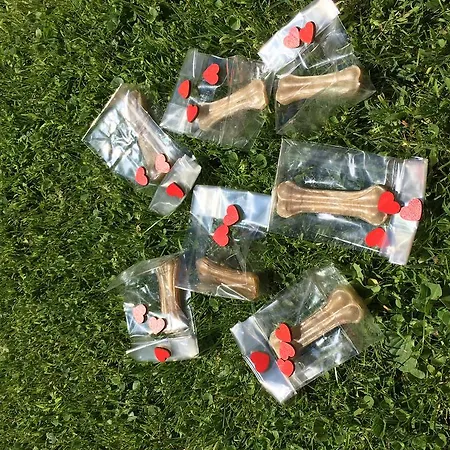 Hotel Mar Del Plata 4*