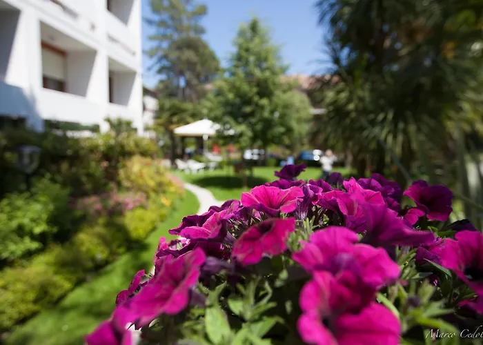 Hotel Mar Del Plata 4*