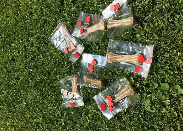 Hotel Mar Del Plata 4*